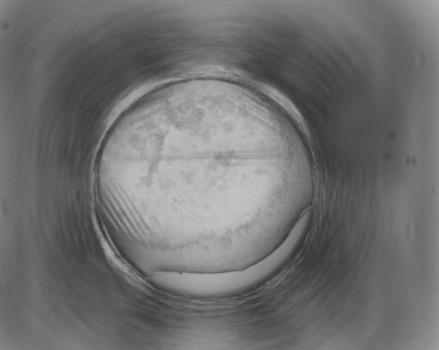 X0000083971439200703161520