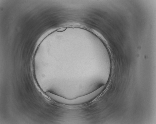 X0000083971440200703161520