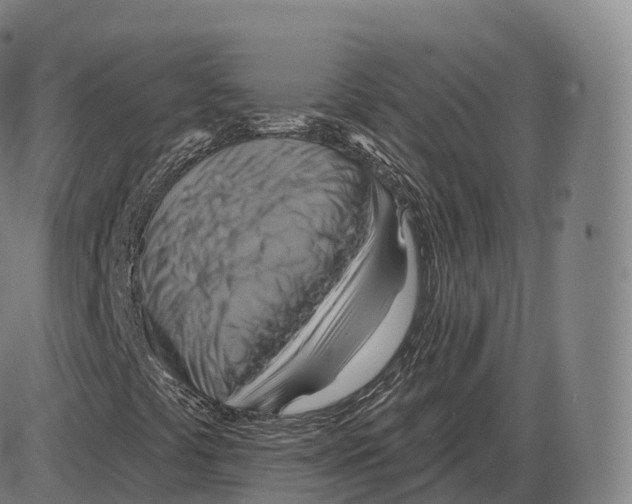 X0000083971441200703161519