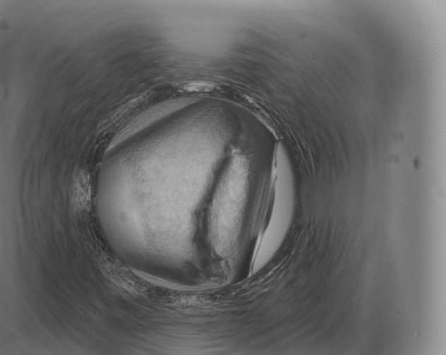 X0000083971443200703161519