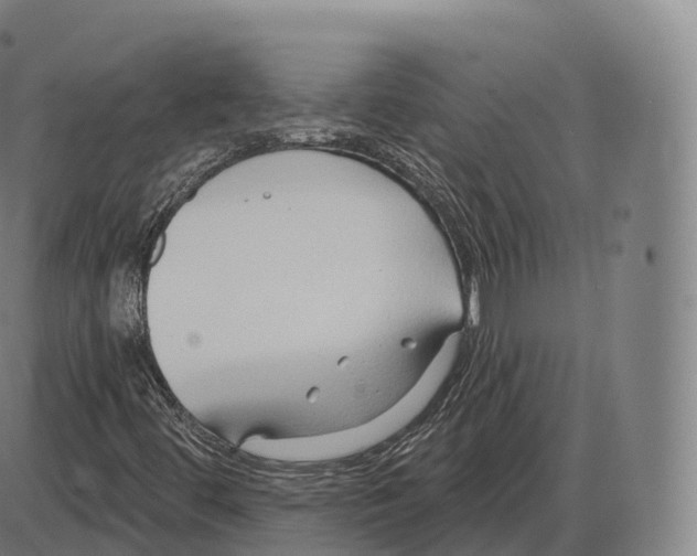 X0000083971444200703161519