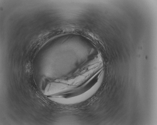 X0000083971445200703161519