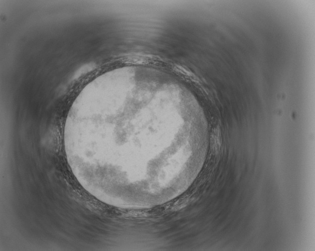 X0000083971446200703161519