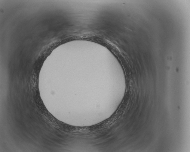 X0000083971447200703161519