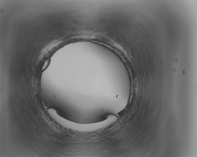 X0000083971448200703161519