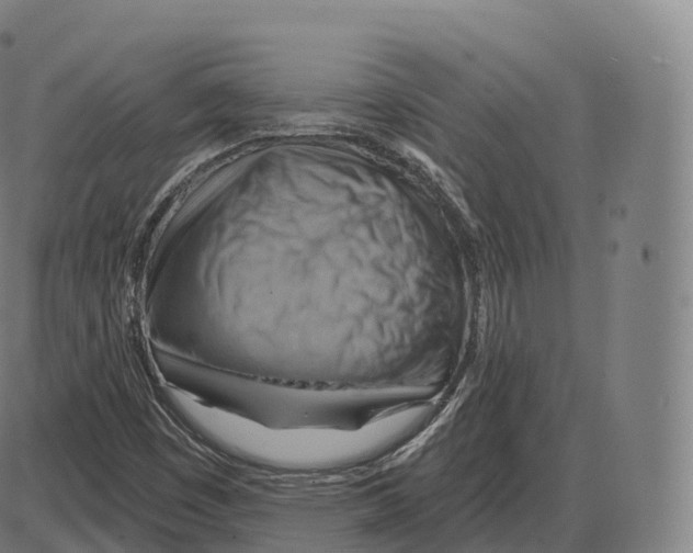 X0000083971449200703161519