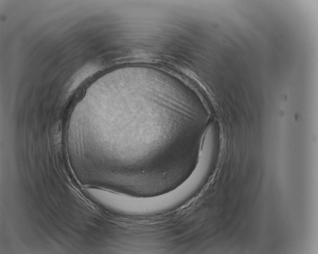 X0000083971450200703161519