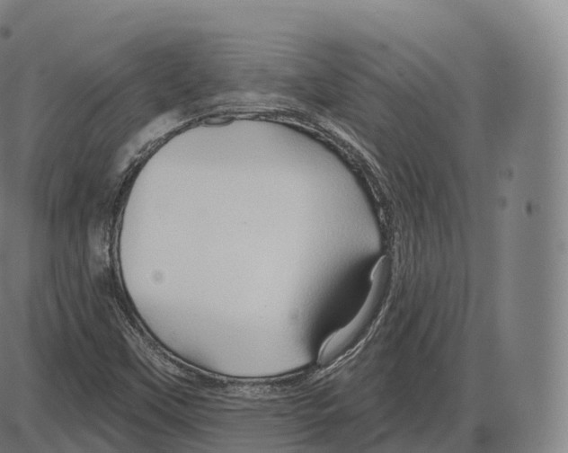 X0000083971451200703161519