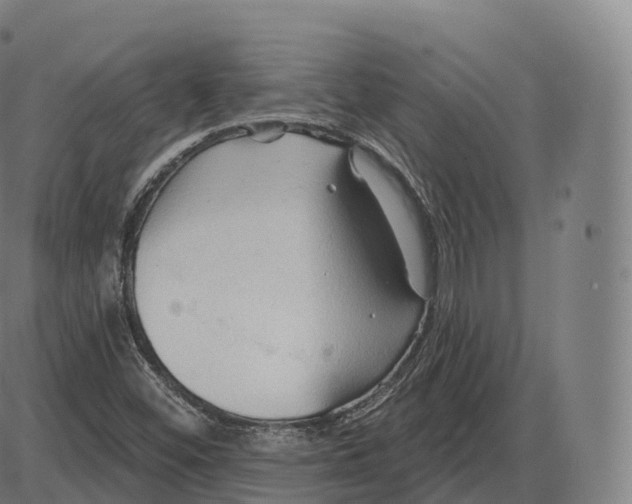 X0000083971452200703161519