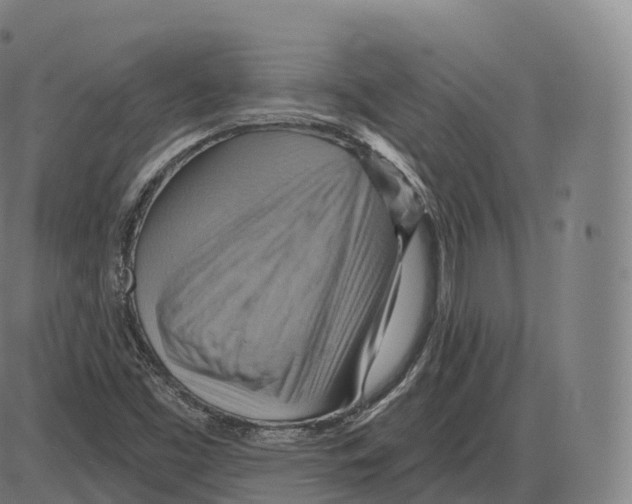 X0000083971453200703161519