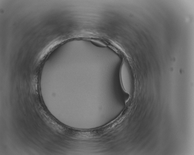 X0000083971455200703161519