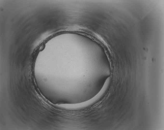 X0000083971456200703161519