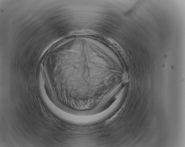 X0000083971457200703161519