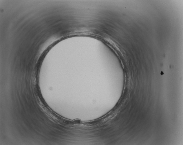 X0000083971458200703161519