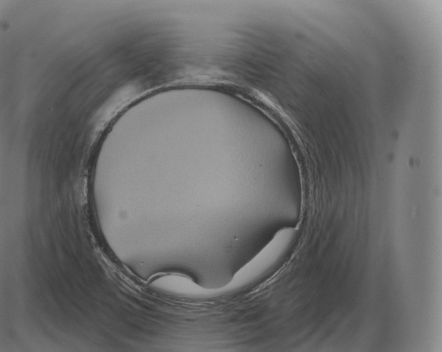 X0000083971459200703161519