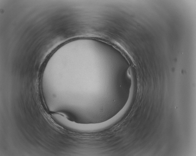 X0000083971460200703161519