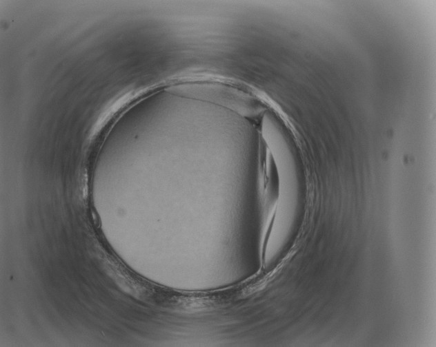 X0000083971461200703161519