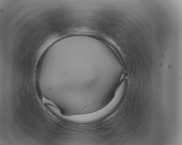 X0000083971463200703161519