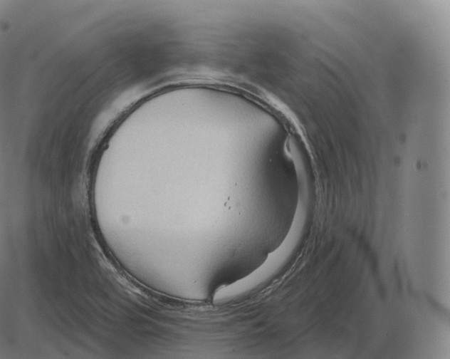 X0000083971464200703161519