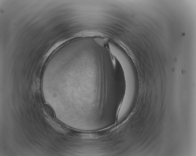 X0000083971465200703161519