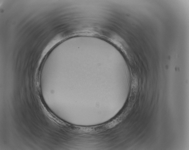 X0000083971466200703161519