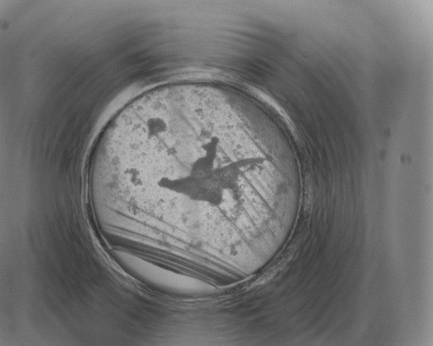 X0000083971467200703161519