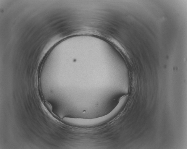 X0000083971468200703161519