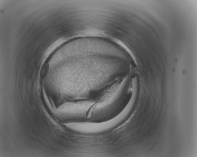 X0000083971469200703161519