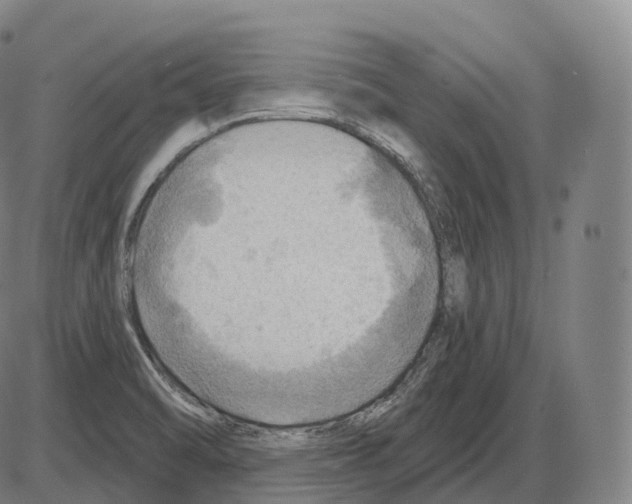 X0000083971470200703161519