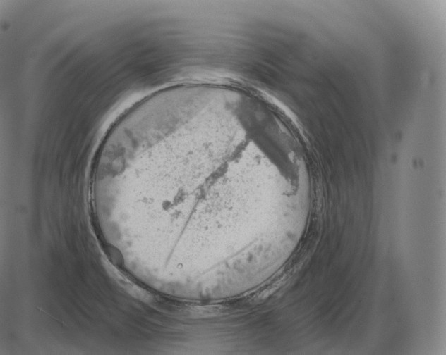 X0000083971471200703161519