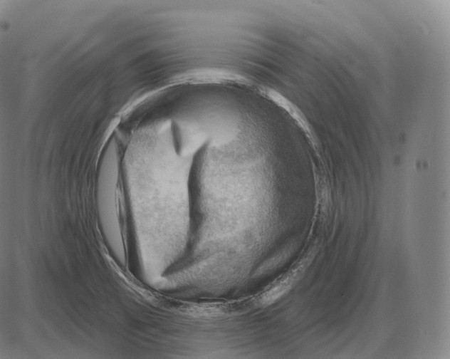 X0000083971473200703161518