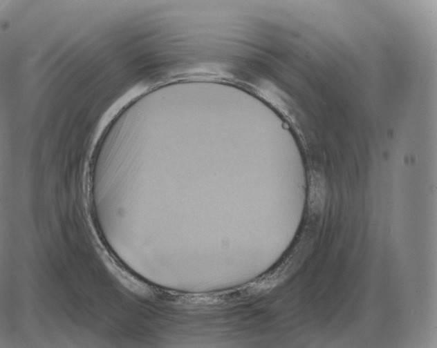 X0000083971474200703161518