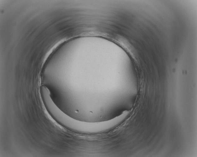 X0000083971476200703161518