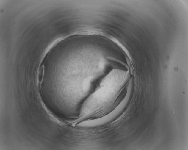 X0000083971477200703161518