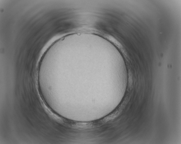 X0000083971478200703161518