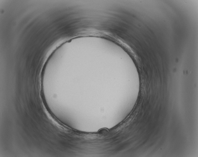 X0000083971479200703161518