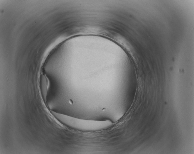 X0000083971480200703161518