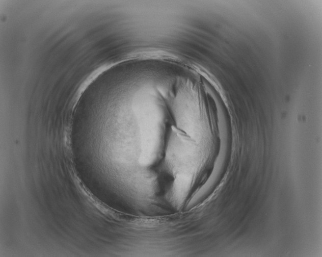 X0000083971481200703161518