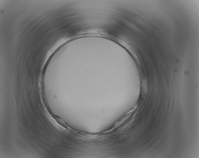 X0000083971482200703161518