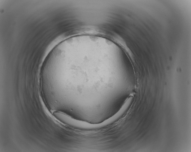 X0000083971483200703161518