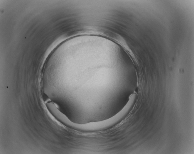 X0000083971484200703161518