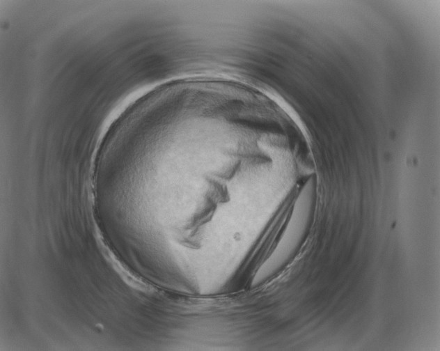 X0000083971485200703161518