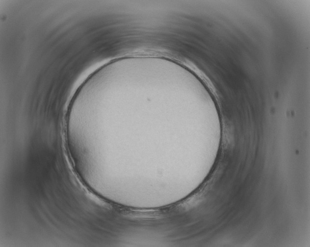 X0000083971486200703161518