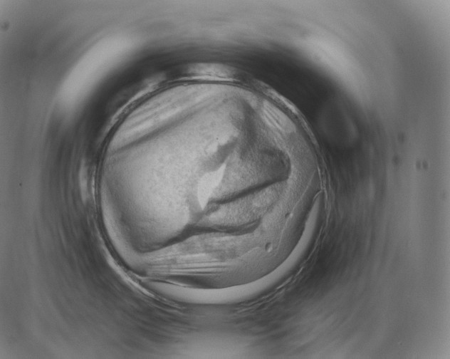 X0000083971487200703161518