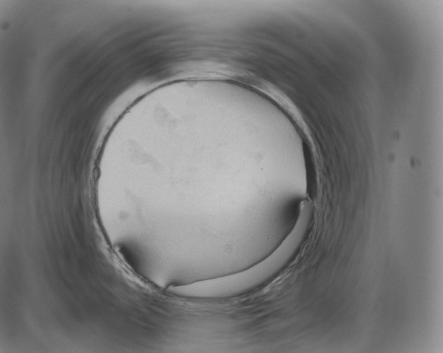 X0000083971488200703161518