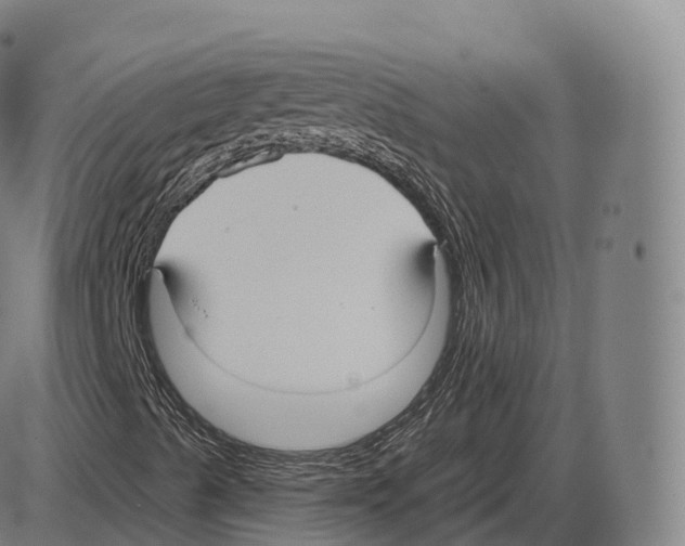 X0000083971489200703161517