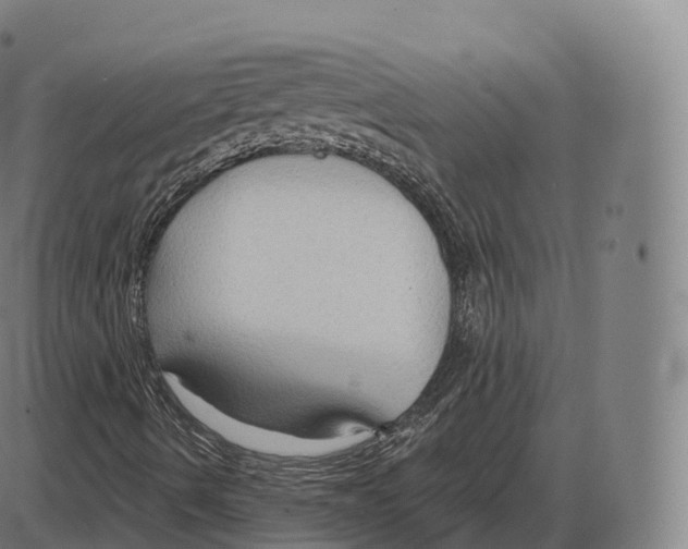 X0000083971490200703161517