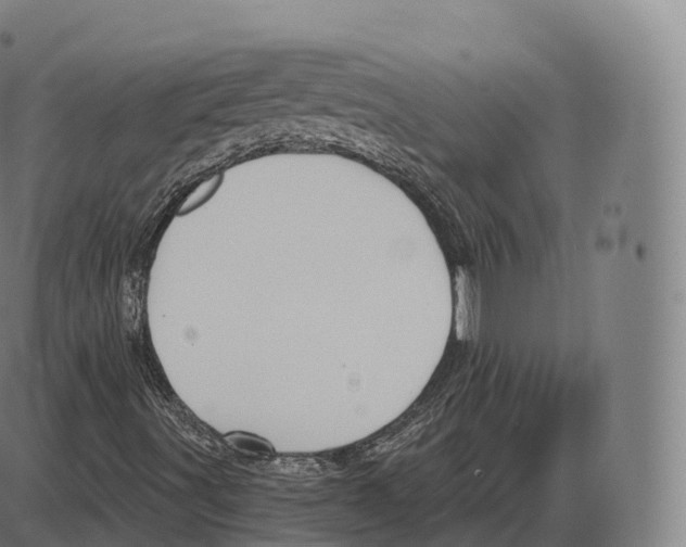 X0000083971491200703161517