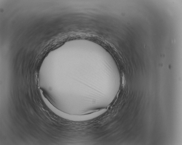 X0000083971492200703161517