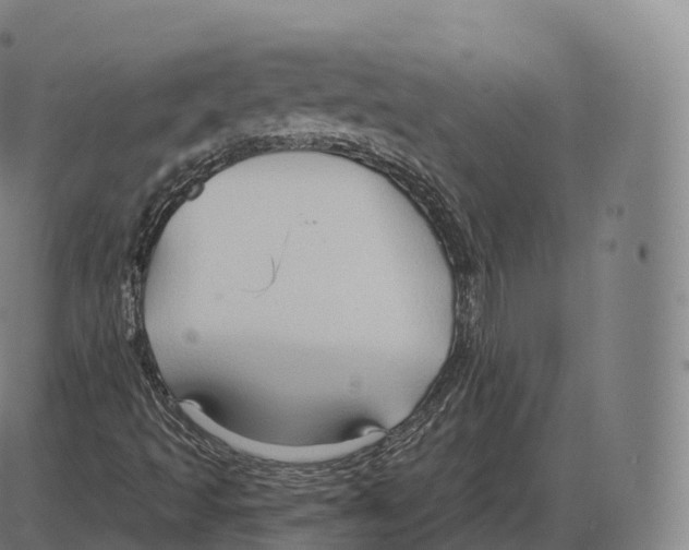 X0000083971493200703161517